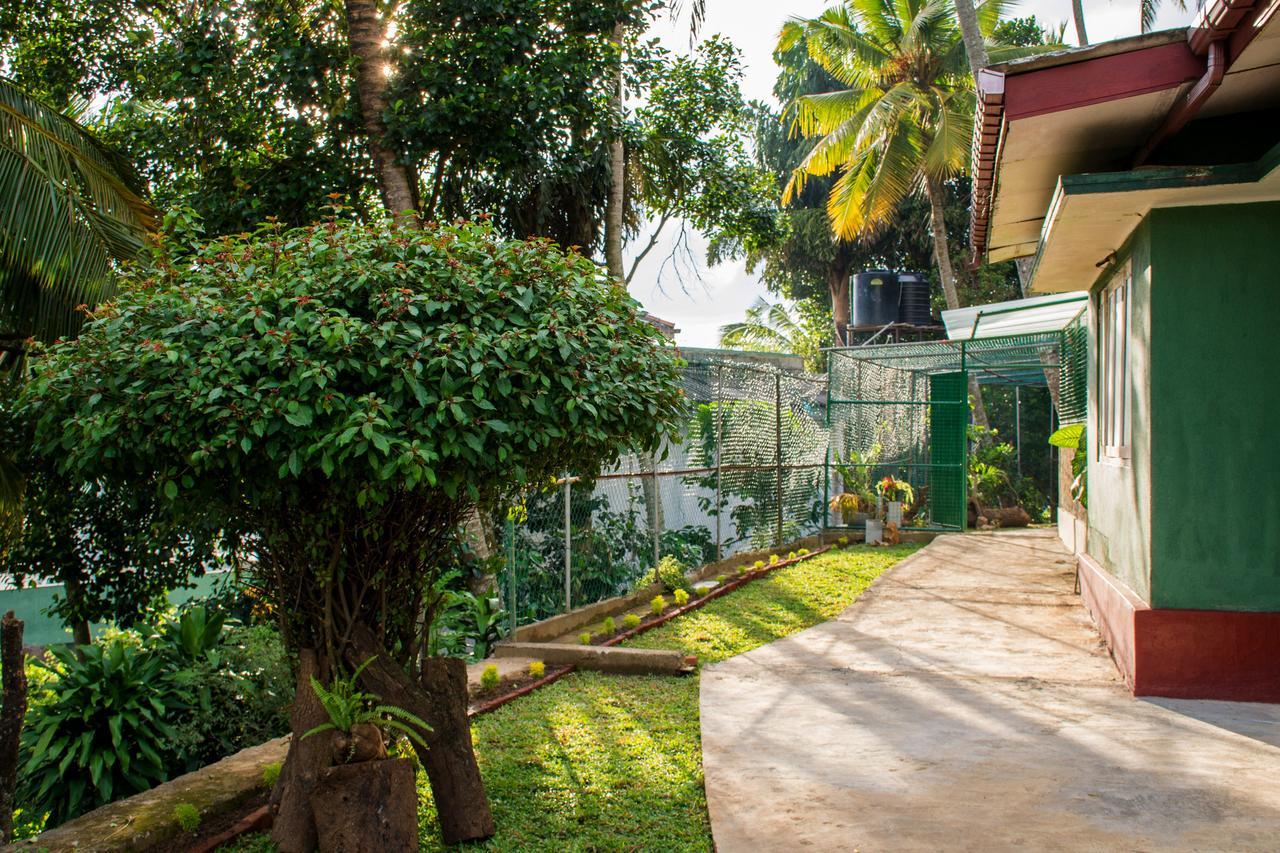 Villa Udawatta Kele Kandy Exterior foto