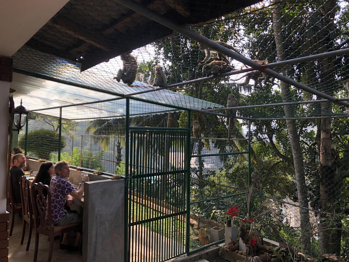 Villa Udawatta Kele Kandy Exterior foto